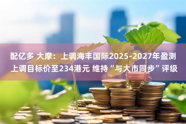 配亿多 大摩：上调海丰国际2025-2027年盈测 上调目标价至234港元 维持“与大市同步”评级